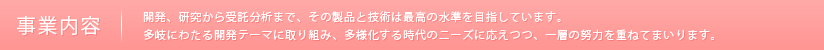 事業内容